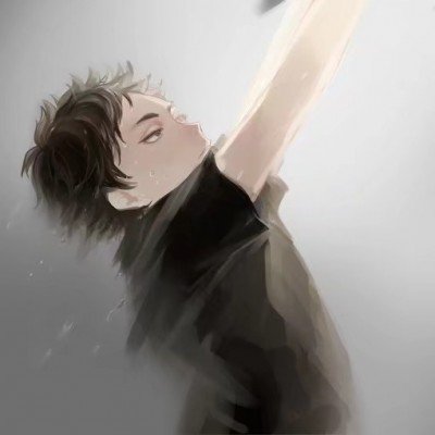 杉杉来了